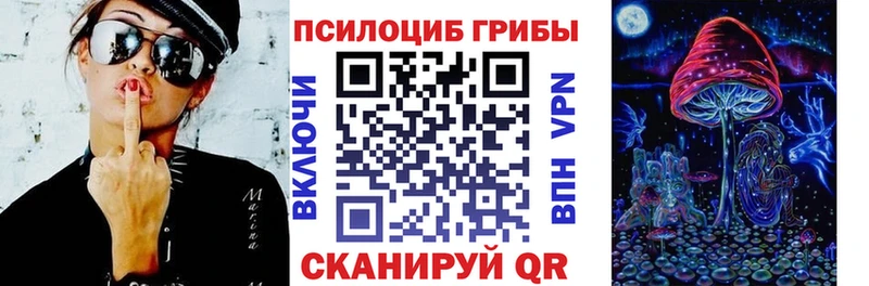 Псилоцибиновые грибы Psilocybine cubensis Городище